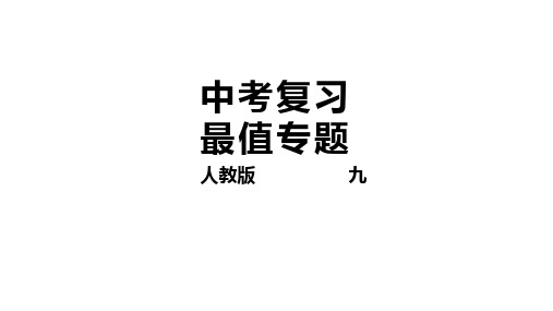 中考数学复习最值专题一精品课件