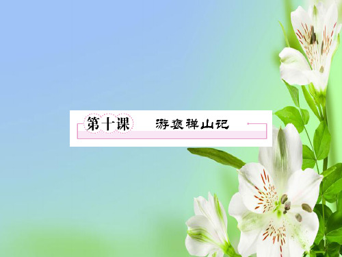 人教版高中语文必修二3.10游褒禅山记新(2)课件
