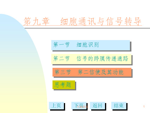 细胞通讯与信号转导