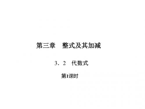 北师大版七年级数学上册课件:3.2 代数式 第1课时