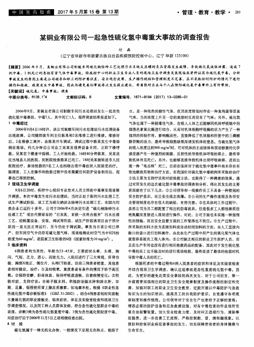 某铜业有限公司一起急性硫化氢中毒重大事故的调查报告