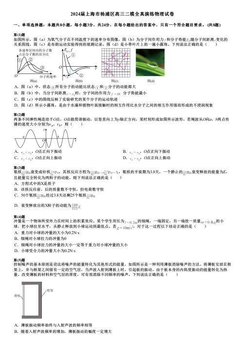 2024届上海市杨浦区高三二模全真演练物理试卷