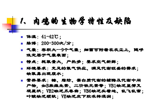 肉鸡饲养管理与疾病防治ppt课件