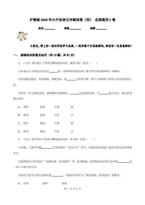 沪教版2020年小升初语文冲刺试卷(四) 全国通用C卷