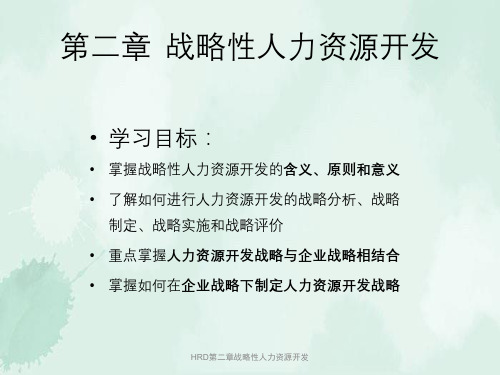 HRD第二章战略性人力资源开发