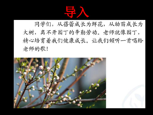 人教版 七年级上册音乐 第一单元 蓓蕾之歌 PPT(共27页)