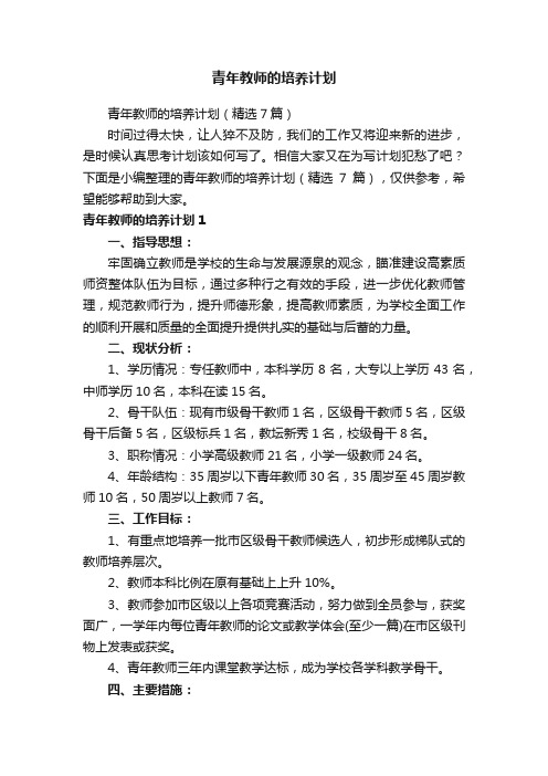 青年教师的培养计划