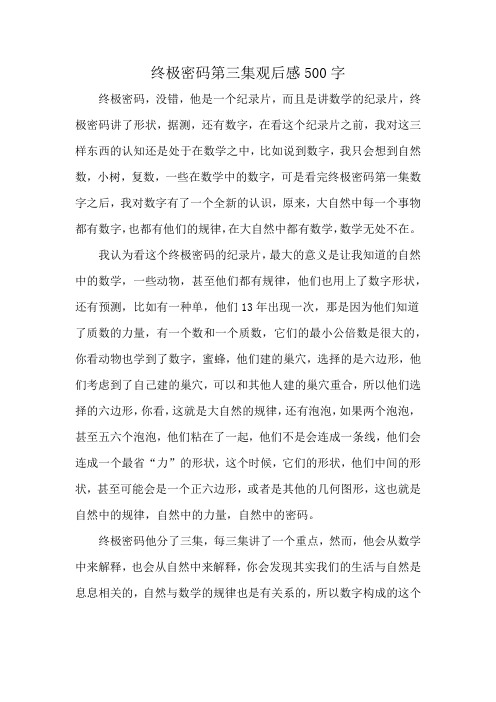 终极密码第三集观后感500字