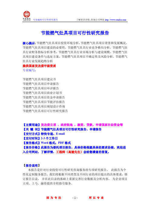 节能燃气灶具项目可行性研究报告