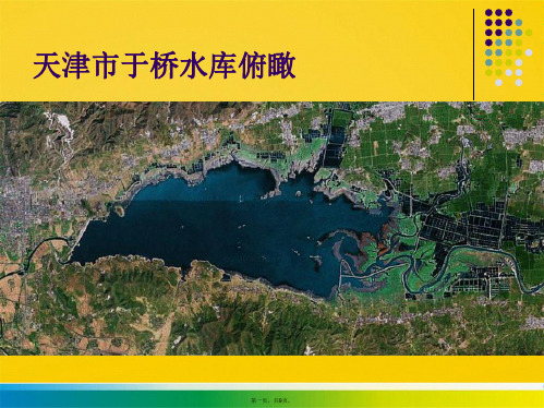 于桥水库水环境及生物资源调查与生态修复措施探讨资料(与“水库”有关的文档共9张)