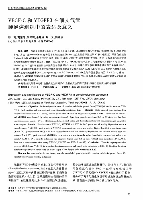 VEGF—C和VEGFR3在细支气管肺泡癌组织中的表达及意义