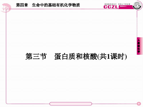 高二化学选修5课件：4-3蛋白质和核酸