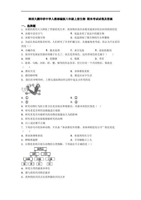 深圳大鹏华侨中学人教部编版八年级上册生物 期末考试试卷及答案