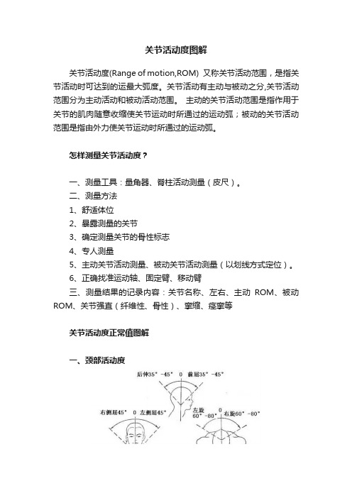 关节活动度图解