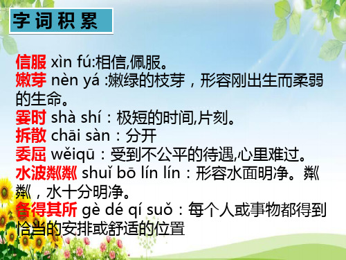 人教版语文七年级上册期中基础知识复习