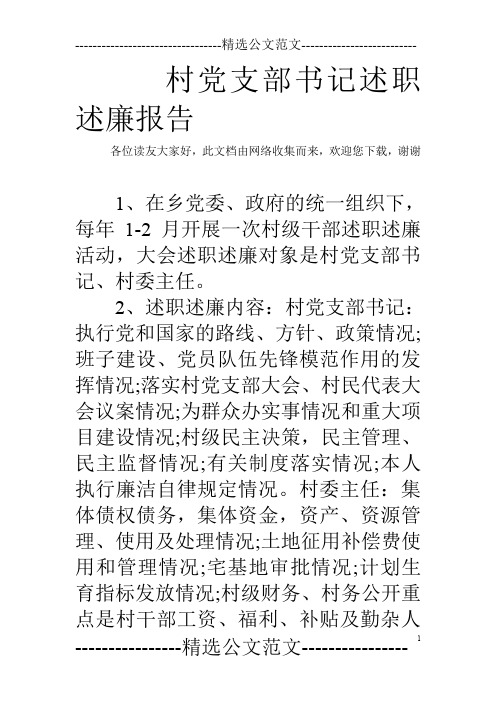 村党支部书记述职述廉报告