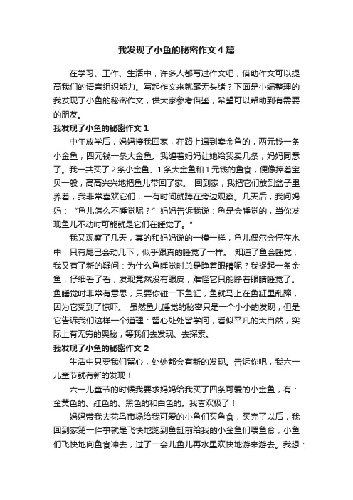 我发现了小鱼的秘密作文4篇