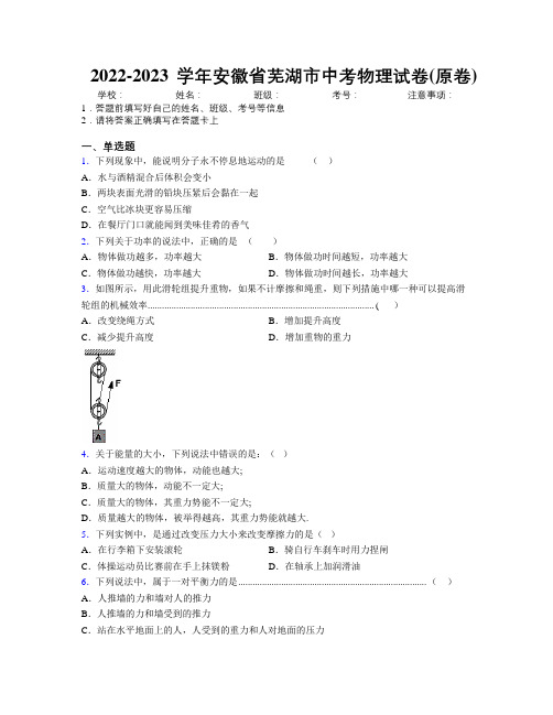 最新2022-2023学年安徽省芜湖市中考物理试卷(原卷)及解析