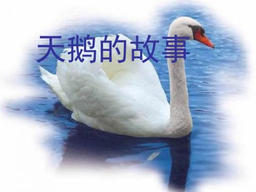 《天鹅的故事》 精品PPT课件3