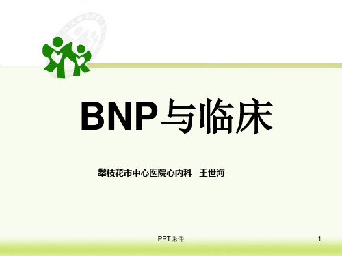 B型利钠肽  ppt课件