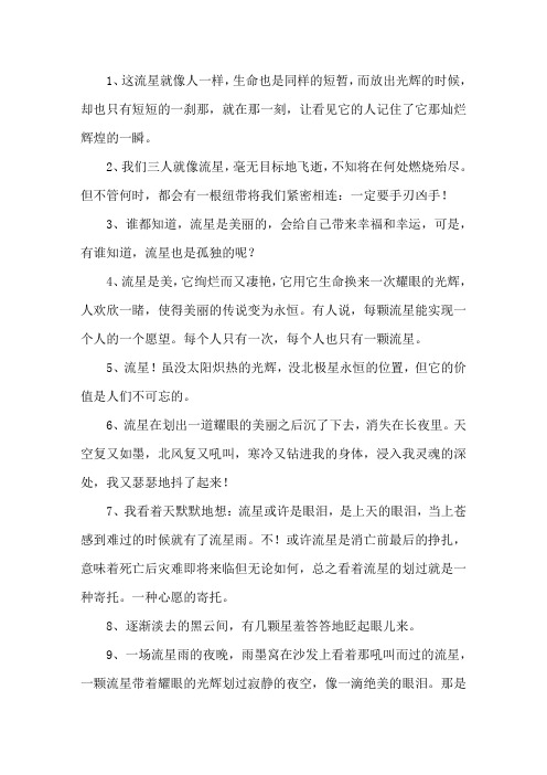 精选比喻流星的句子