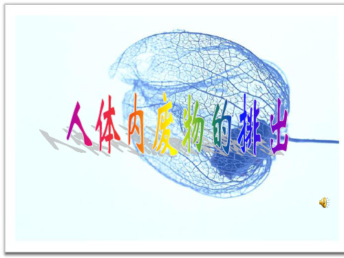 人教版第四单元第五章《人体内废物的排出》课件
