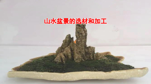 山水盆景的选材加工课件--高一上学期劳动技术课