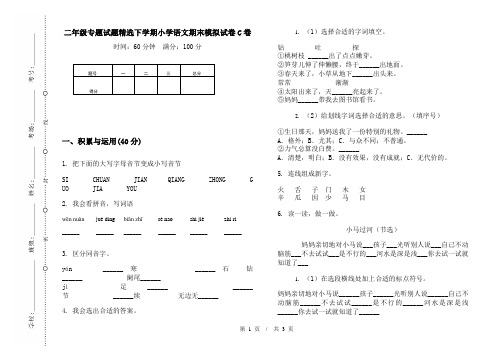 二年级专题试题精选下学期小学语文期末模拟试卷C卷