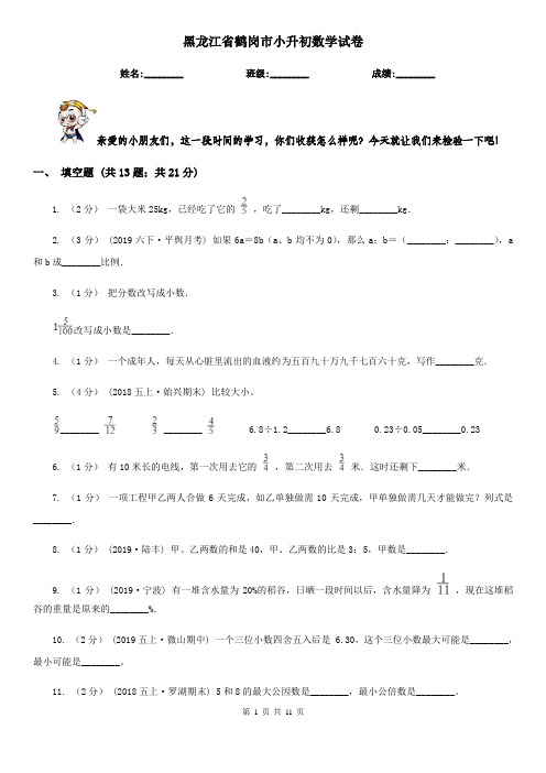 黑龙江省鹤岗市小升初数学试卷 