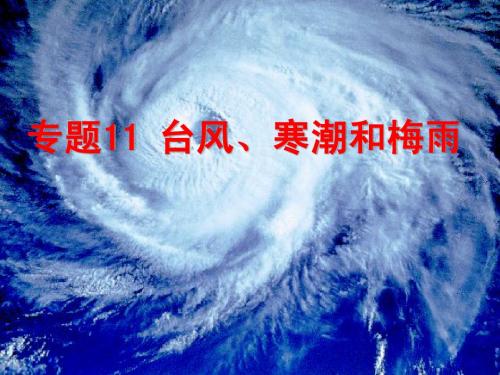 台风梅雨寒潮