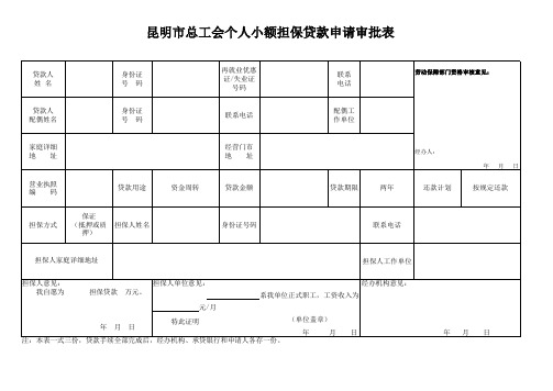 贷款申请审批表