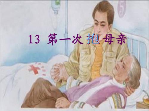 第一次抱母亲ppt
