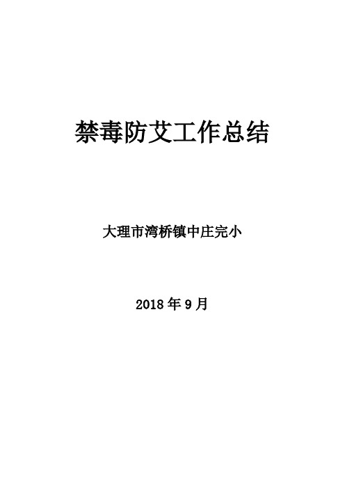 2018-2019学年中庄完小禁毒防艾工作总结