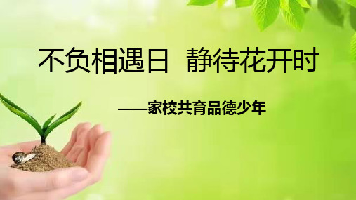 不负相遇日 静待花开时 ——家校共育品德少年 家长会课件(共37张PPT内嵌视频)