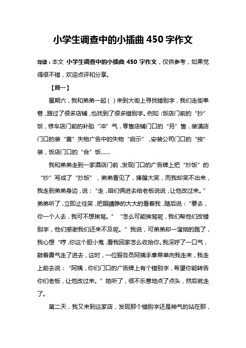小学生调查中的小插曲450字作文