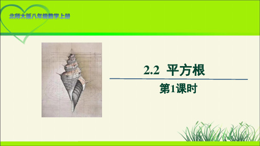 北师大版八年级数学上册《平方根》第1课时示范公开课教学课件