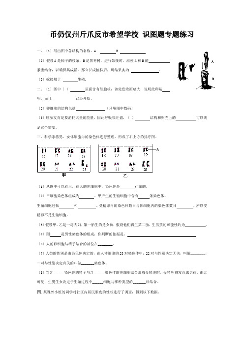 中考生物专题复习练习 八下 识图题试题