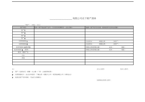 公司名下财产清单格式