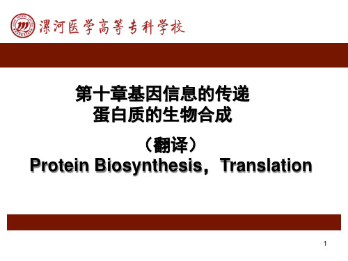 基因信息的传递-蛋白质的生物合成(精)精品PPT课件