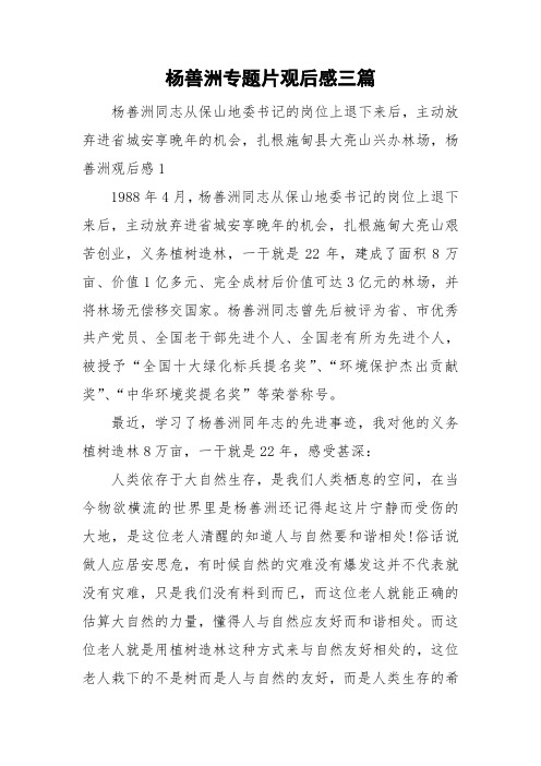 杨善洲专题片观后感三篇