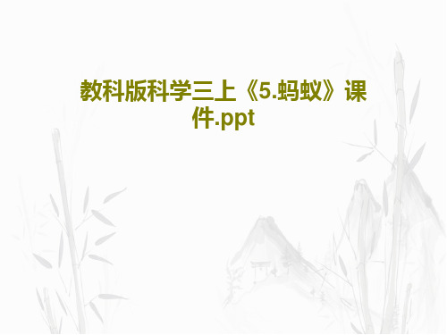 教科版科学三上《5.蚂蚁》课件.pptPPT文档18页