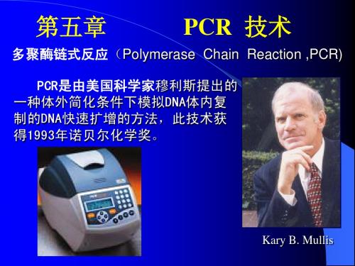 第五章 PCR技术