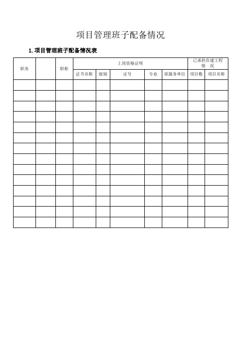 项目管理班子人员配备表及相关说明