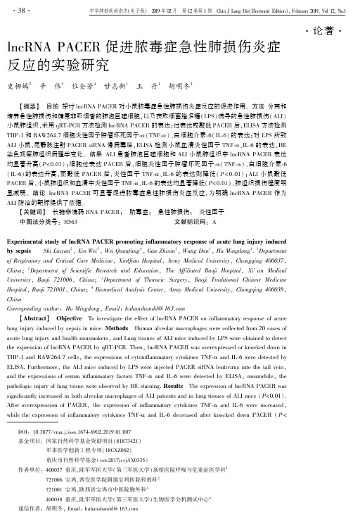 lncRNAPACER促进脓毒症急性肺损伤炎症反应的实验研究