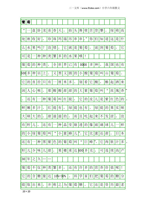 小学六年级散文：葡萄