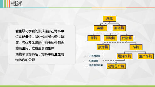 1.4.38饲料能量在动物体内的转化过程