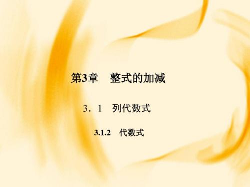 华师大版七年级数学上册课件：3.1.2 代数式