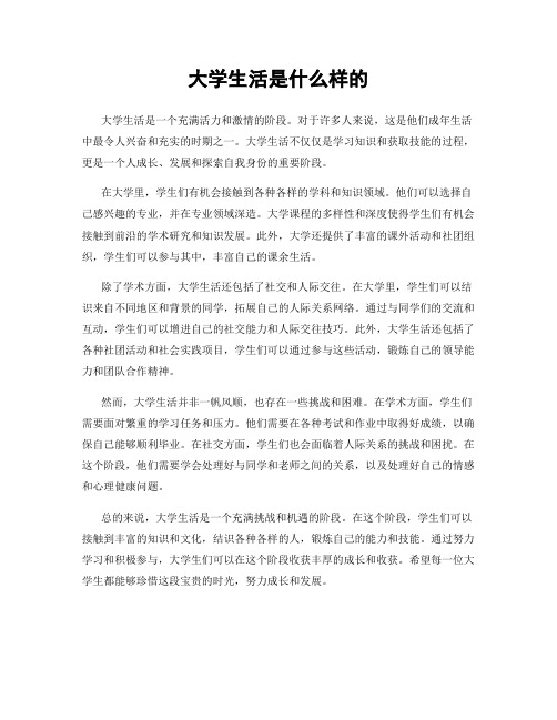 大学生活是什么样的