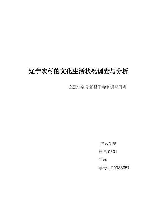 辽宁农村的文化生活状况调查与分析