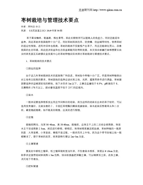 枣树栽培与管理技术要点